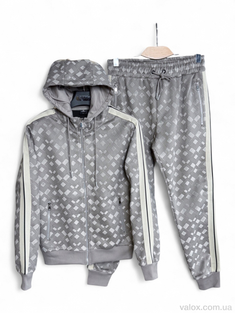 Чоловічі спортивний костюм оптом (a128 l.grey)