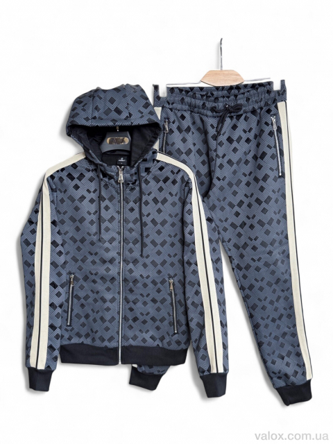 Чоловічі спортивний костюм оптом (a128 grey)