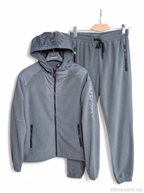 Чоловічі спортивний костюм оптом (a122 grey)