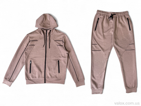 Чоловічі спортивний костюм оптом (a142-1 beige)