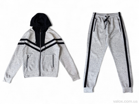 Чоловічі спортивний костюм оптом (a137 l.grey)