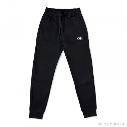 Чоловічі спортивні штаны оптом (a702 black)