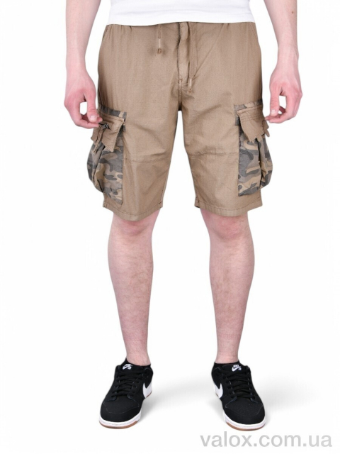 Чоловічі шорти оптом (ak302-5)