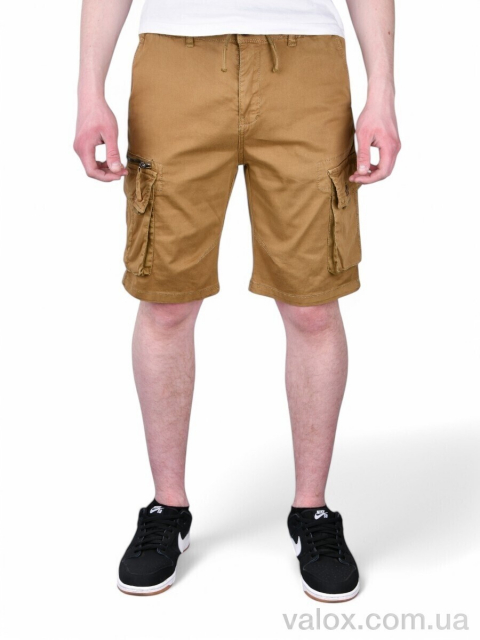 Чоловічі шорти оптом (ak312-5)