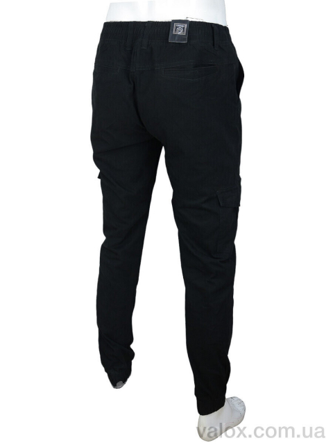Чоловічі брюки оптом (8431-1)