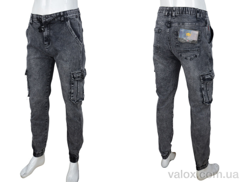 Чоловічі джинси оптом (8843 grey)