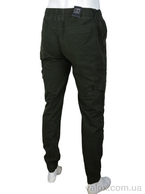 Чоловічі брюки оптом (8523-4 green)
