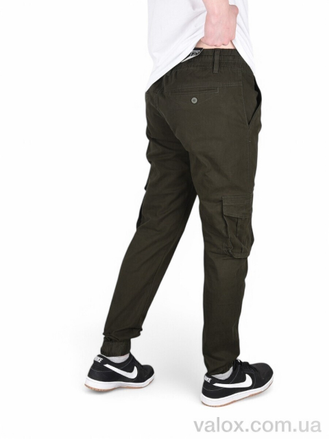 Чоловічі брюки оптом (8548-4)