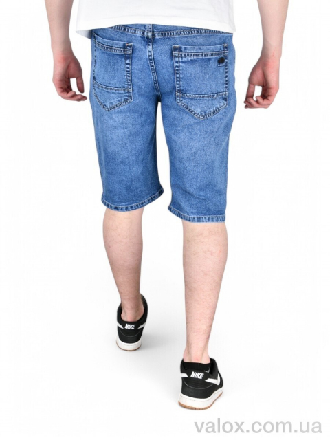 Чоловічі шорти оптом (603-2)