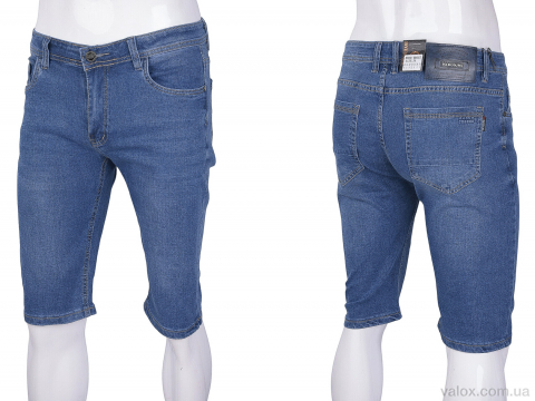 Чоловічі шорти оптом (br4012)