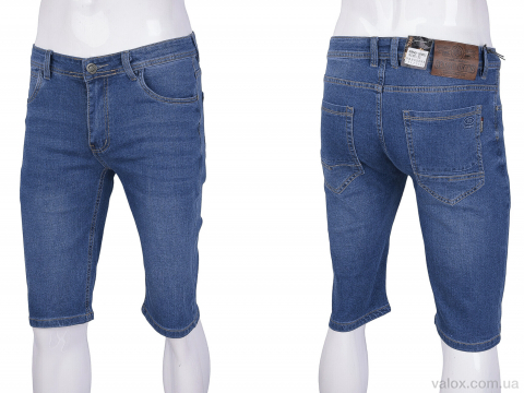 Чоловічі шорти оптом (br4011)