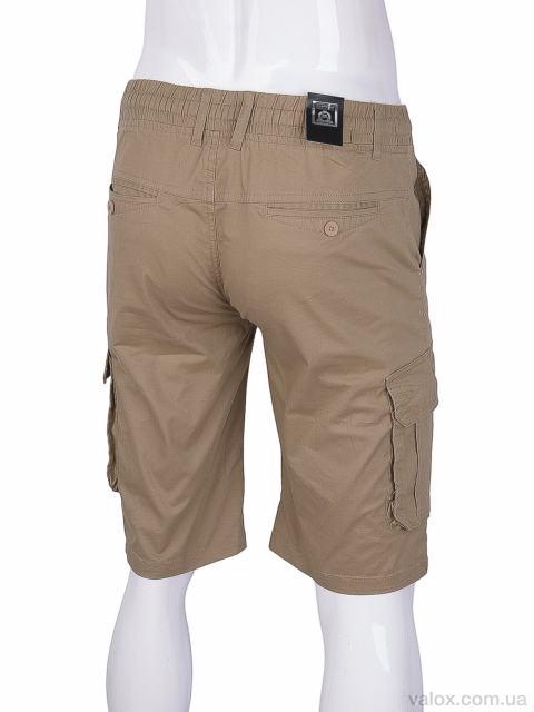 Чоловічі шорти оптом (8535-6)