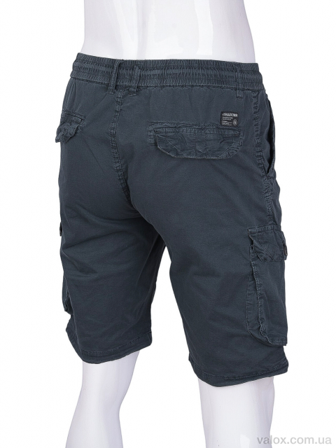 Чоловічі шорти оптом (ak65033-6)