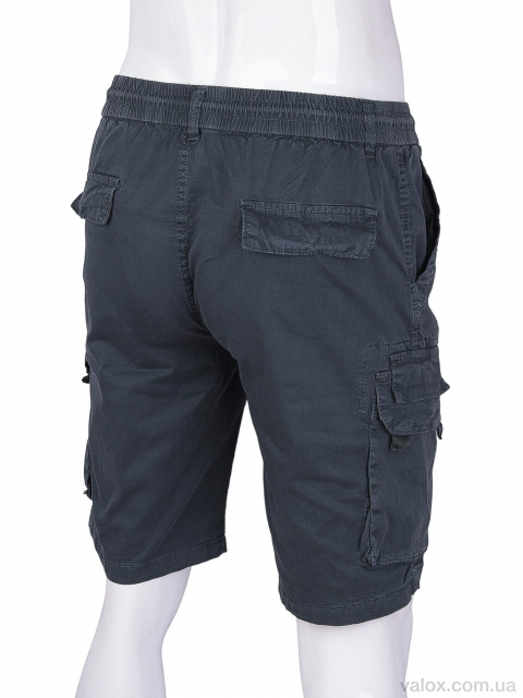 Чоловічі шорти оптом (ak65035-6)