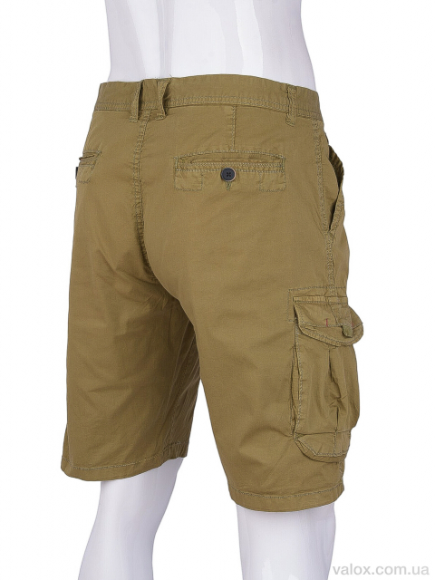 Чоловічі шорти оптом (ak72801-5)
