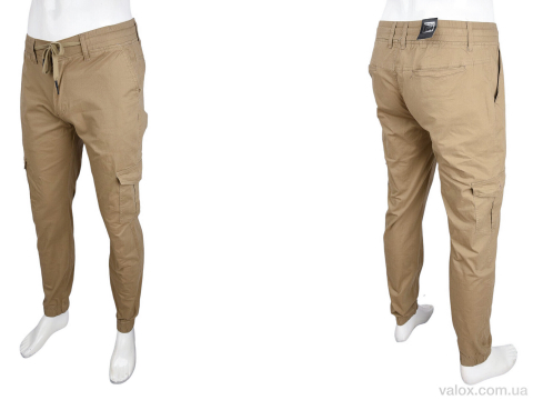 Чоловічі брюки оптом (8541-6)