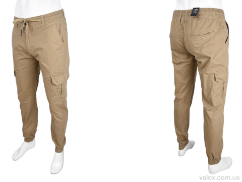 Чоловічі брюки оптом (8542-6)