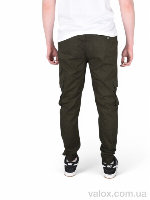 Чоловічі брюки оптом (8549-4)