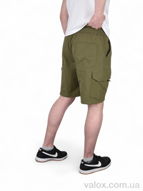 Чоловічі шорти оптом (119-4)