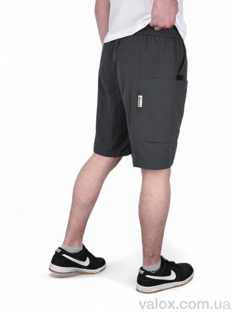 Чоловічі шорти оптом (109-2)