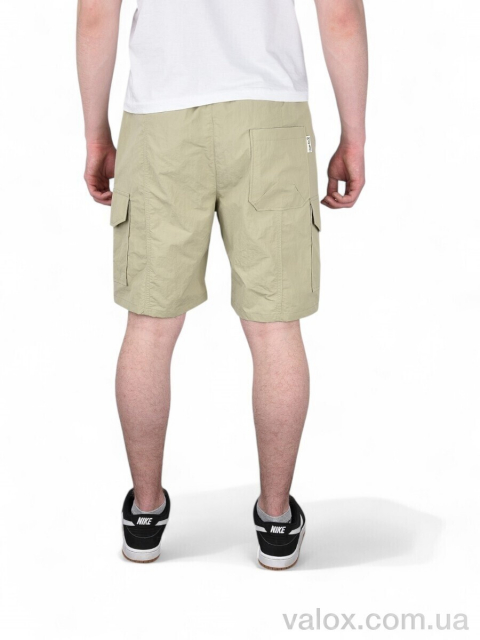 Чоловічі шорти оптом (119-5)