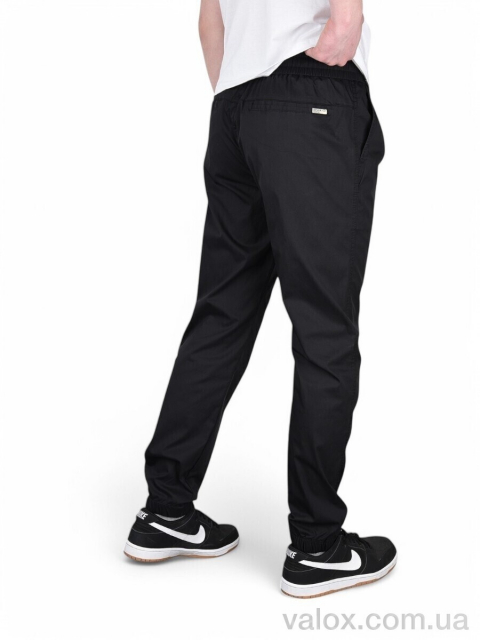 Чоловічі брюки оптом (br8512-1)
