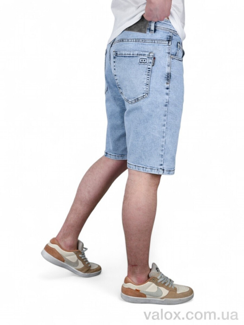 Чоловічі шорти оптом (124)