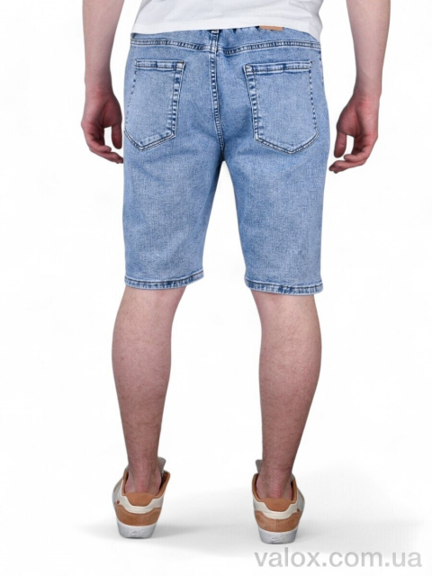 Чоловічі шорти оптом (165)