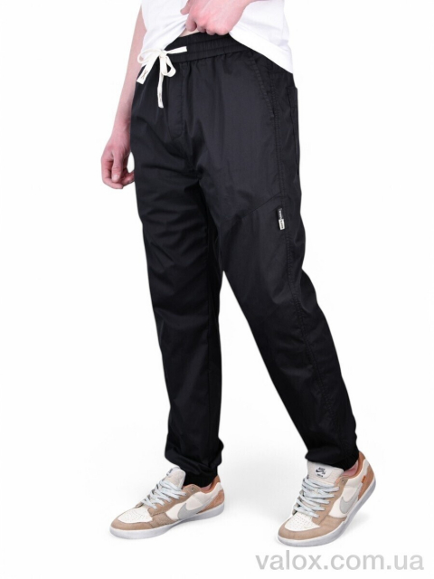 Чоловічі брюки оптом (br8501-1)