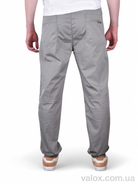 Чоловічі брюки оптом (br8501-3)
