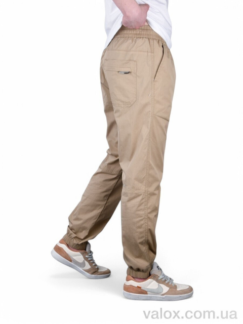 Чоловічі брюки оптом (br8501-5)