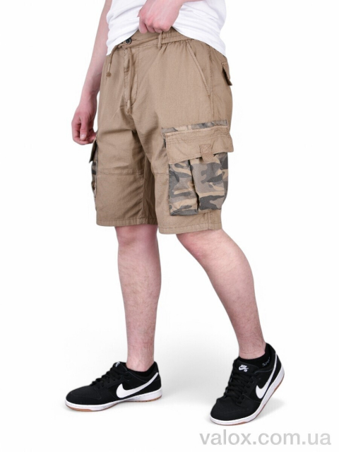 Чоловічі шорти оптом (ak302-5)