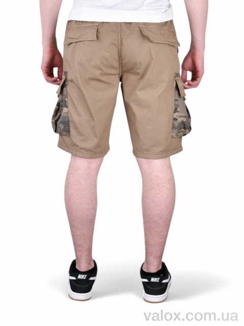 Чоловічі шорти оптом (ak302-5)