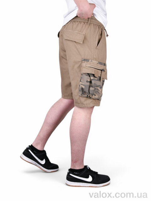 Чоловічі шорти оптом (ak302-5)