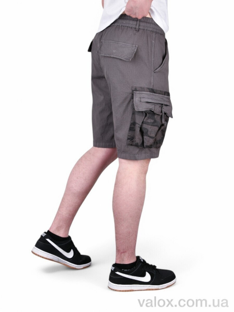 Чоловічі шорти оптом (ak302-6)