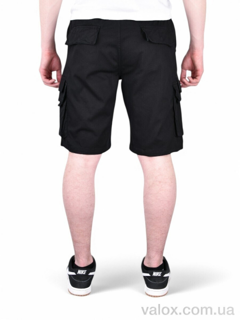Чоловічі шорти оптом (ak635-1)