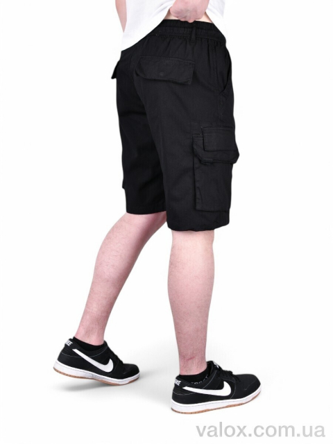 Чоловічі шорти оптом (ak635-1)
