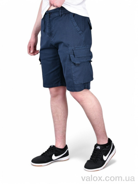 Чоловічі шорти оптом (ak635-2)
