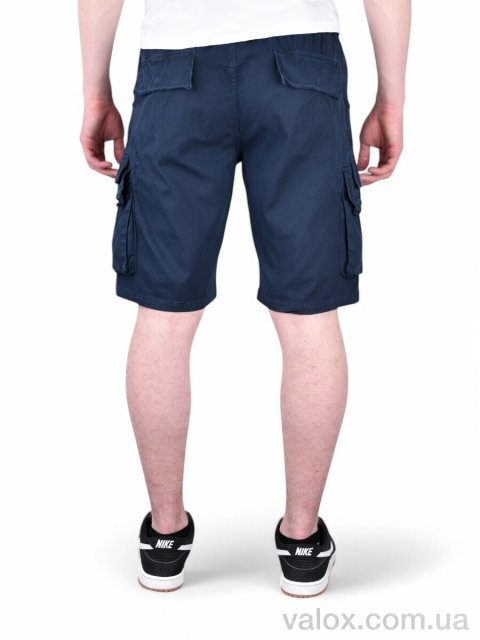 Чоловічі шорти оптом (ak635-2)