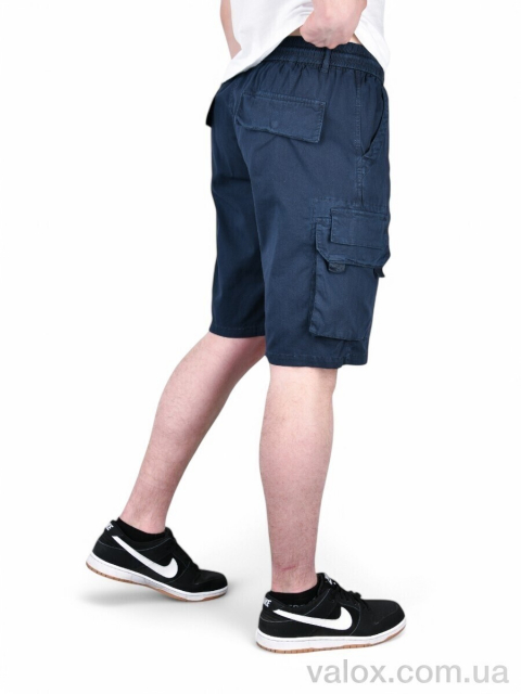 Чоловічі шорти оптом (ak635-2)