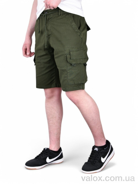 Чоловічі шорти оптом (ak635-3)