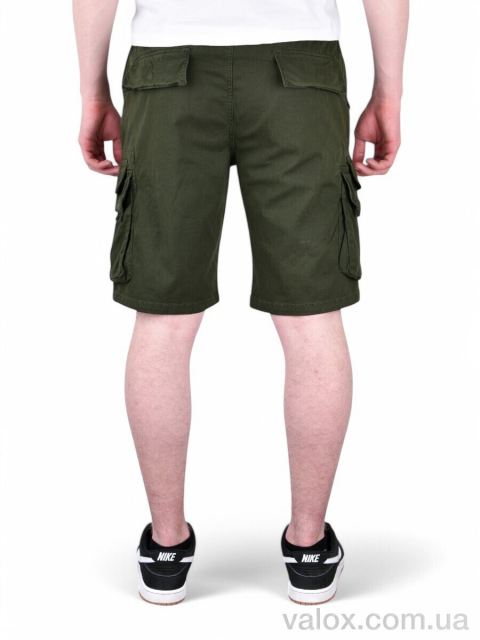 Чоловічі шорти оптом (ak635-3)