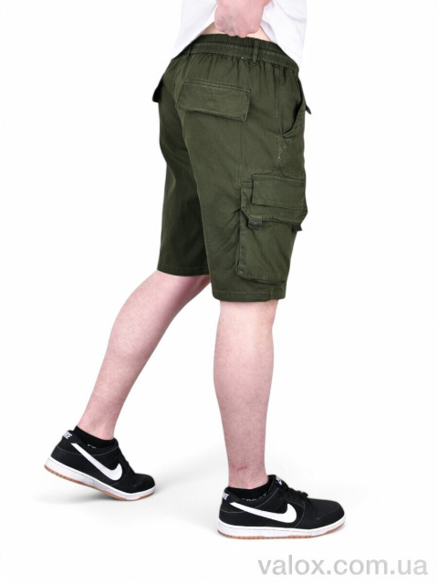 Чоловічі шорти оптом (ak635-3)