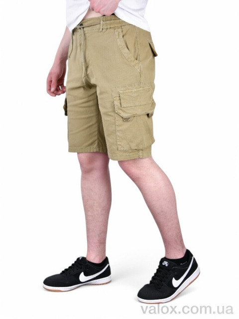 Чоловічі шорти оптом (ak635-5)