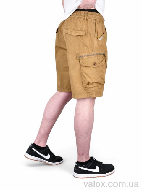Чоловічі шорти оптом (ak315-5)