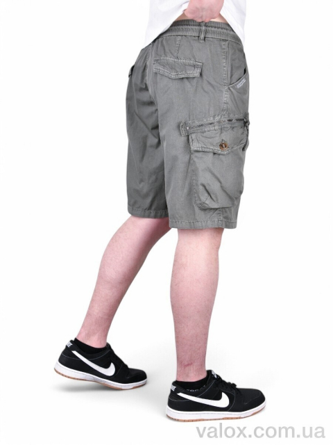 Чоловічі шорти оптом (ak315-6)