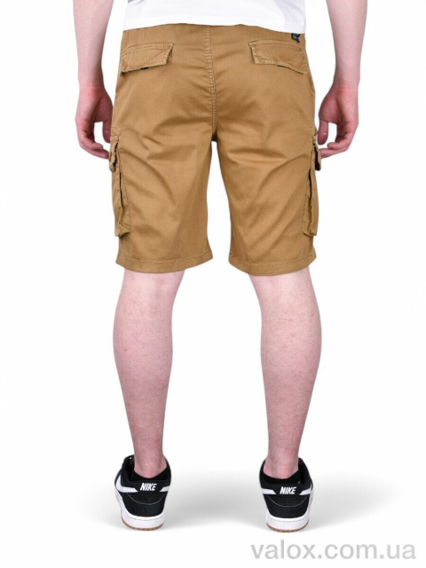 Чоловічі шорти оптом (ak312-5)