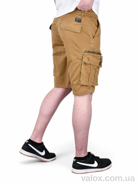 Чоловічі шорти оптом (ak312-5)