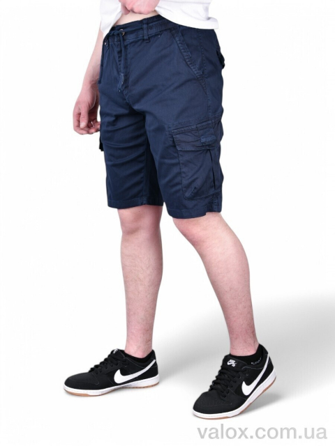 Чоловічі шорти оптом (ak637-2)