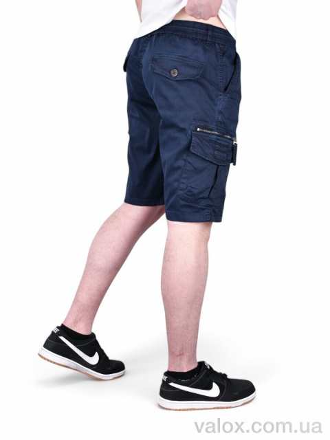 Чоловічі шорти оптом (ak637-2)